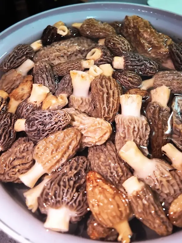 Kuzu Göbeği Mantarlı Yumurta