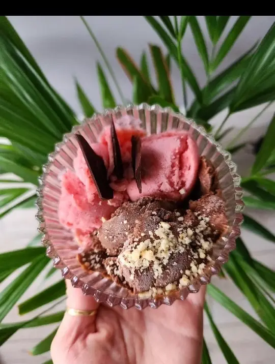 Çilekli & Kakaolu Dondurma