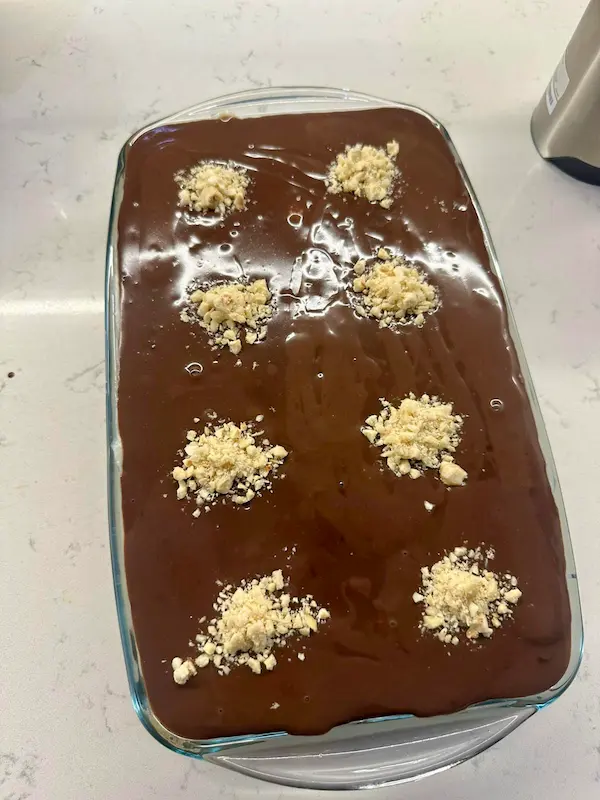 Kedi Dilli Muhallebi Tatlısı