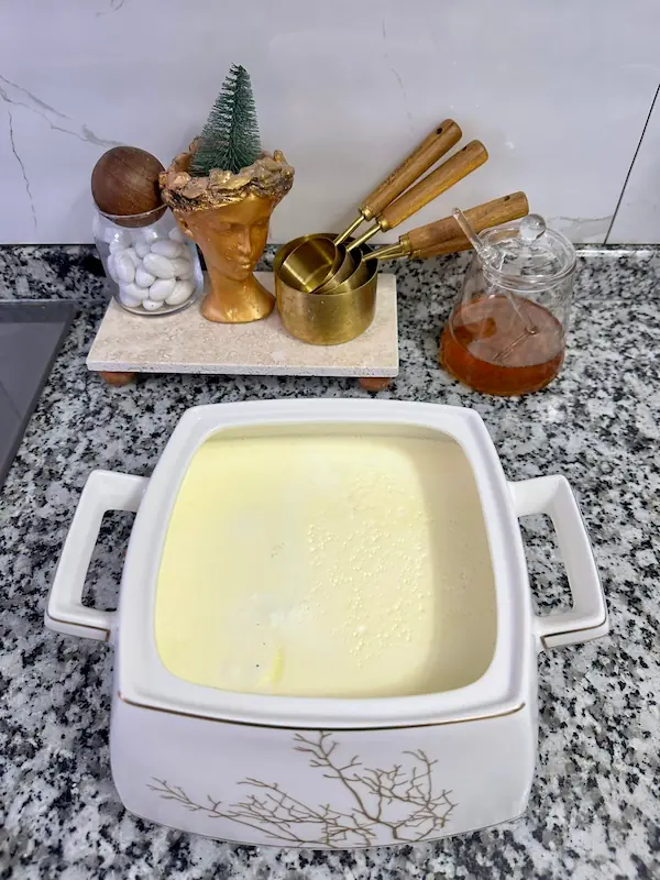 Evde Yoğurt Yapımı